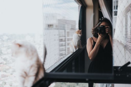 het fotograferen van je katten